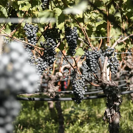 Kaiserau-hoefl Bolzano