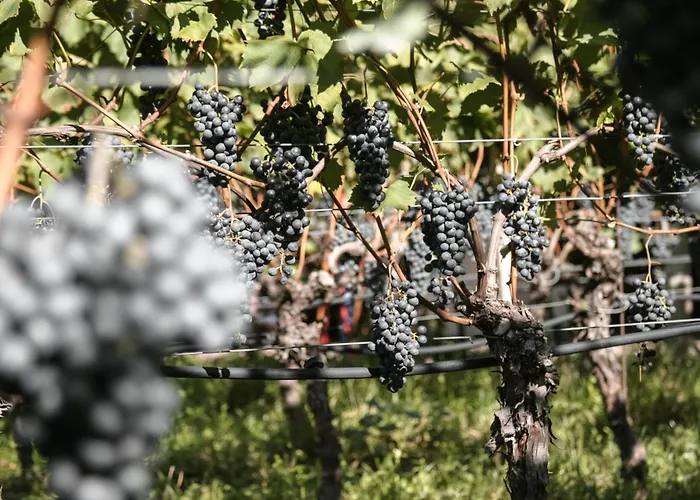 Kaiserau-hoefl Bolzano